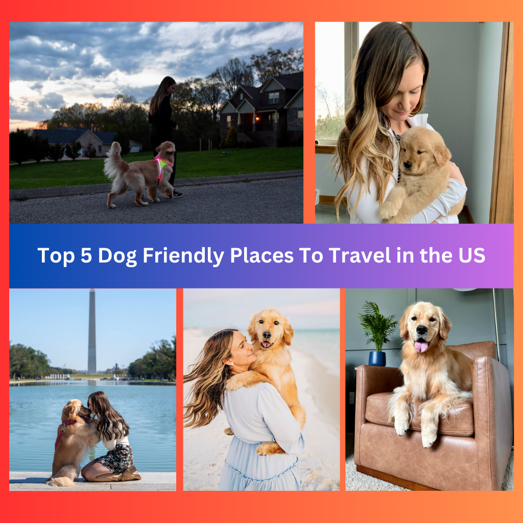 Top 5 Dog Friendly Places To Travel in the US
