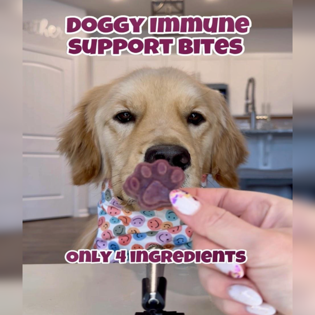 DIY Doggy Immune Support Bites