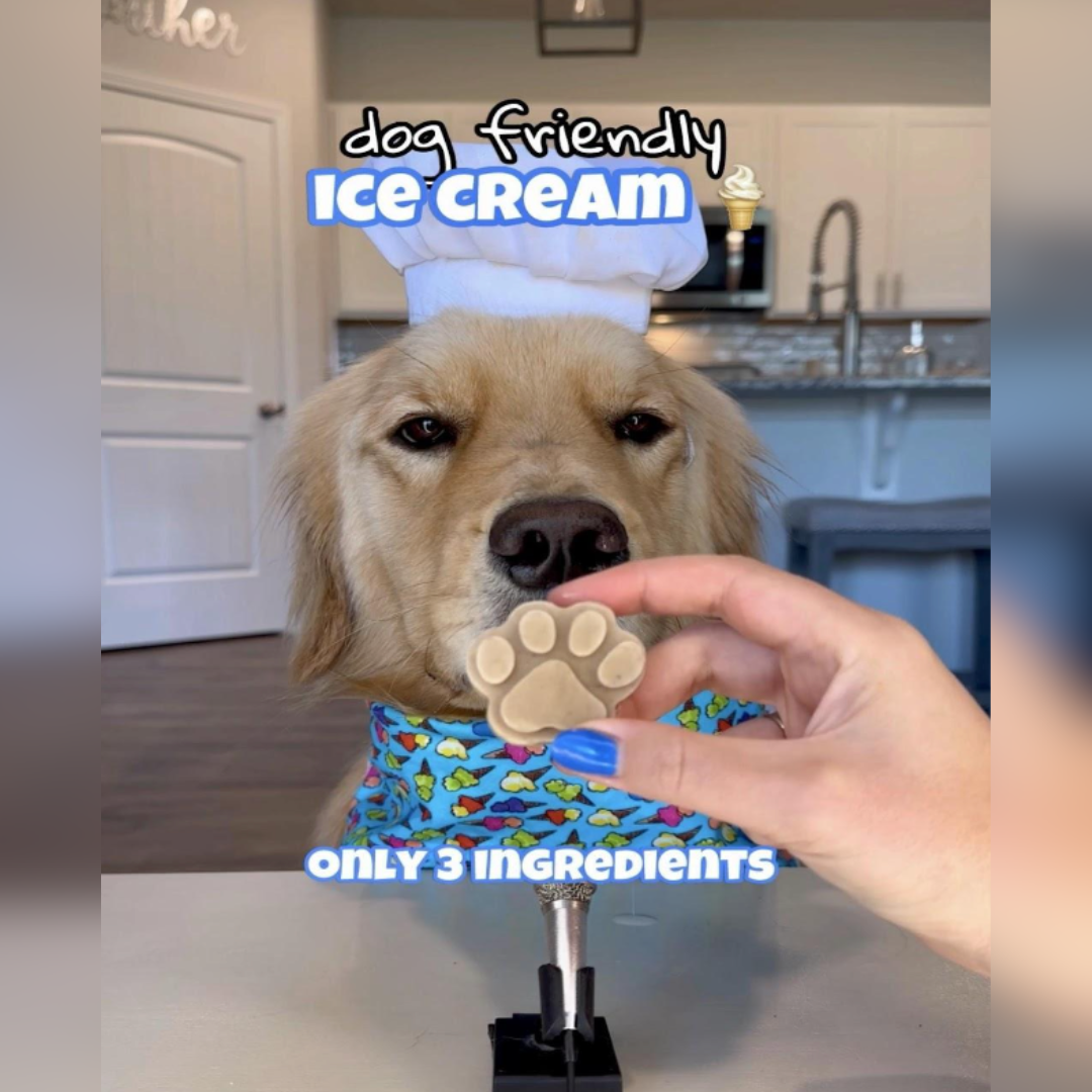 Dog-Friendly Ice Cream