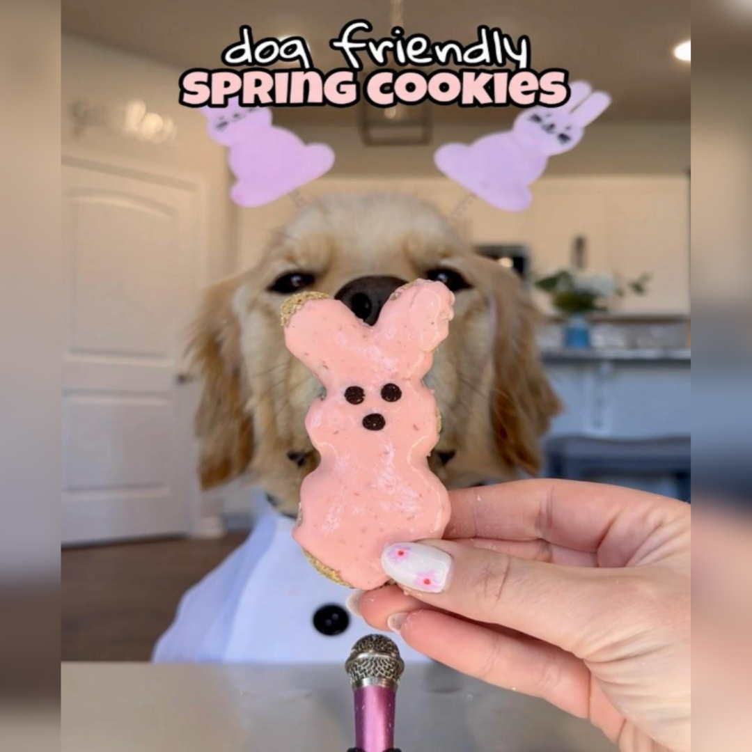 Dog-Friendly Spring Cookie Recipe