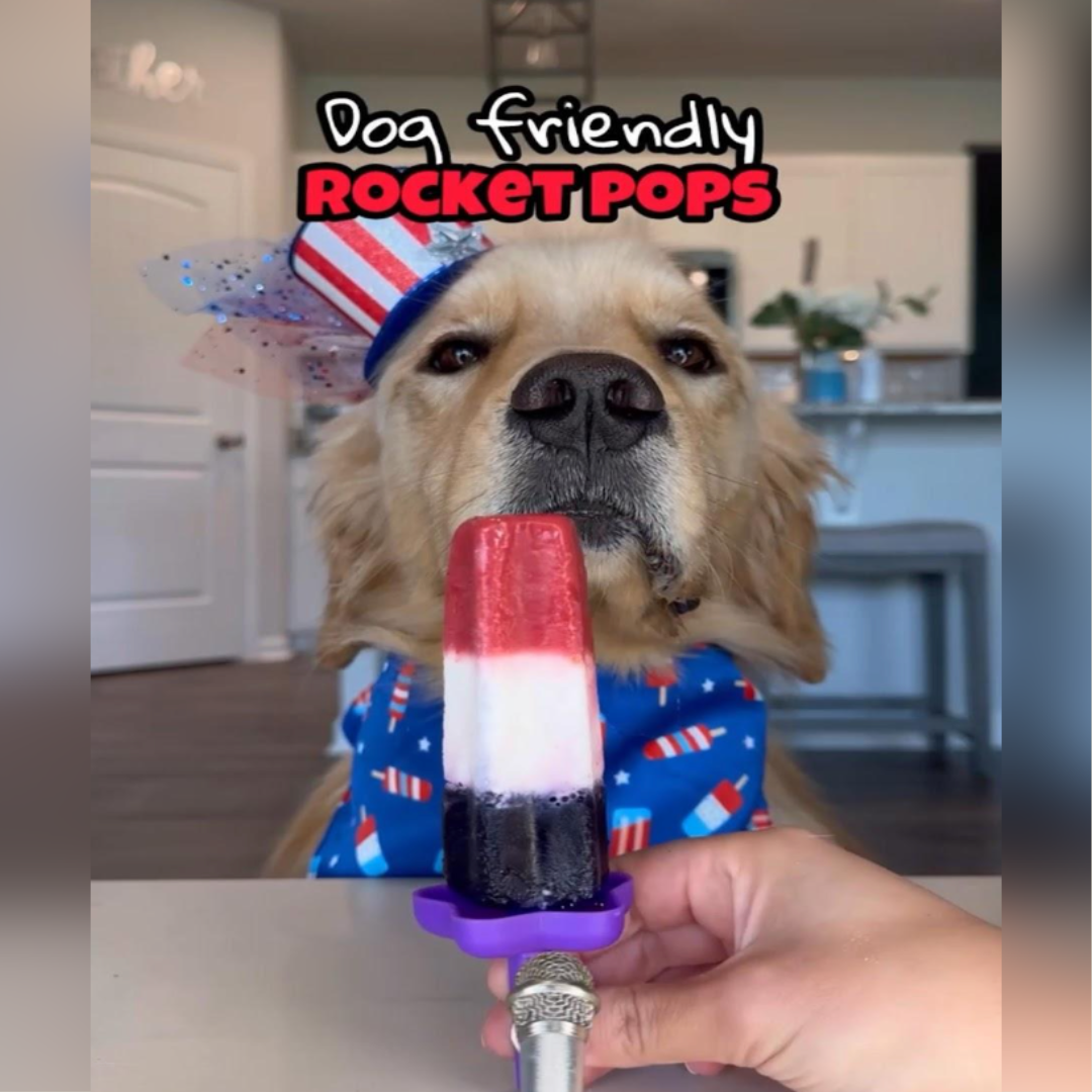 Dog-Friendly Patriotic Rocket Pops