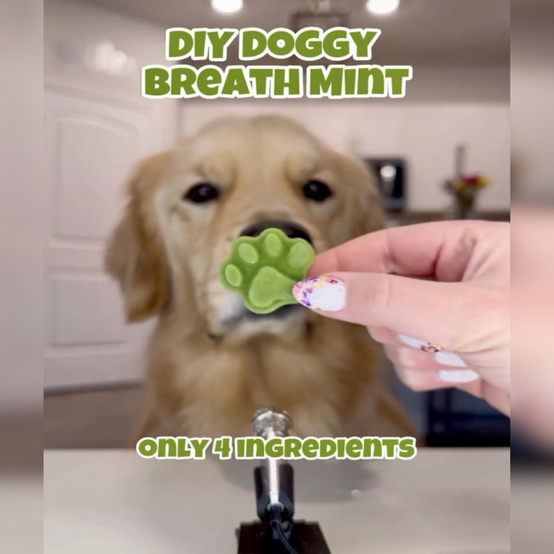 DIY Doggy Breath Mints