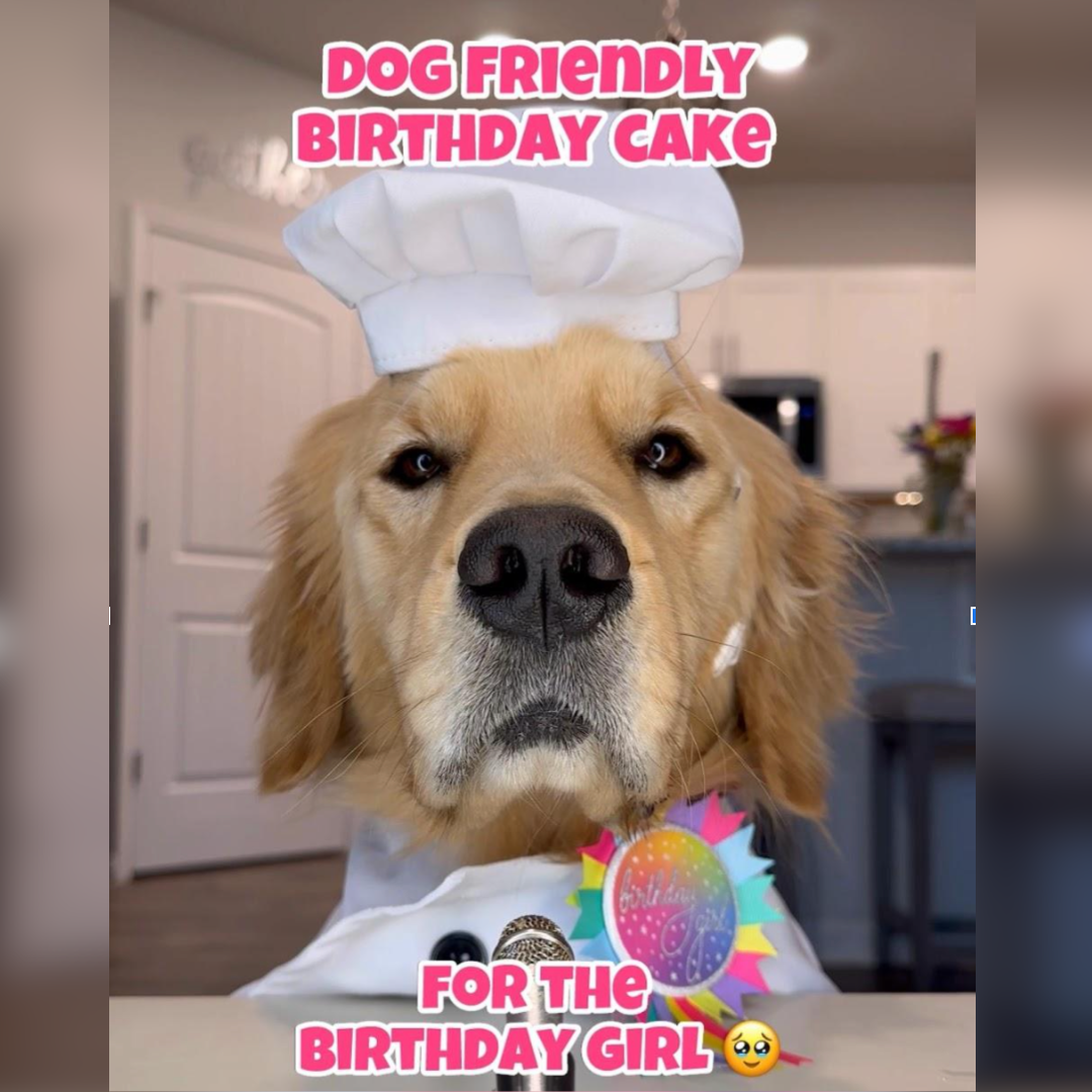 Dog-Friendly Birthday Cake