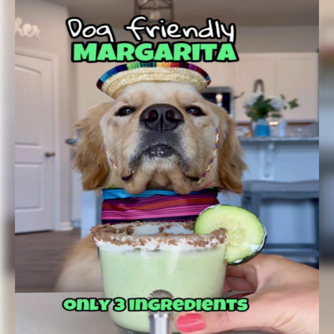 Viral Dog-Friendly Margarita Recipe