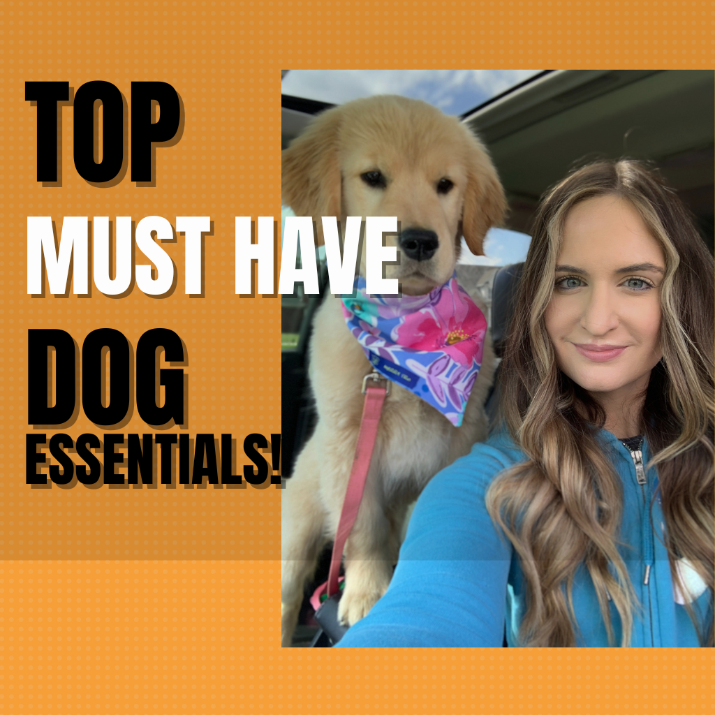 15 Must-Have Essentials for New Puppy Owners